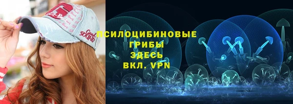 apvp Михайловск