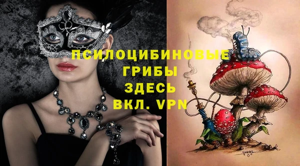 ГАЛЛЮЦИНОГЕННЫЕ ГРИБЫ Михайловка