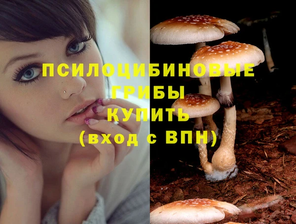 apvp Михайловск