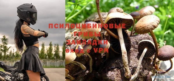 apvp Михайловск