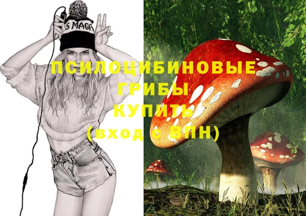 ГАЛЛЮЦИНОГЕННЫЕ ГРИБЫ Михайловка